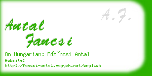 antal fancsi business card